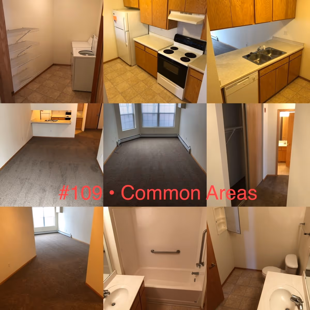 A collage of nine images showing various interior areas of an apartment unit including a laundry room with washer and dryer, a kitchen with refrigerator, stove, sink, and dishwasher, carpeted living and dining areas with large windows, a closet and hallway leading to a bathroom, and a bathroom with a bathtub, sink, and toilet.