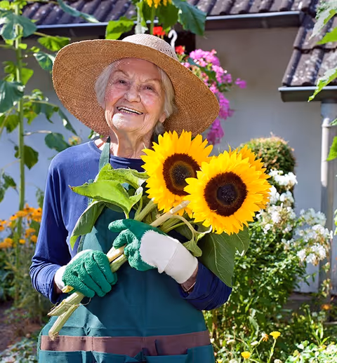 An elderly woman wearing a wide-brimmed straw hat, green gardening gloves, and a green apron is smiling while holding three large sunflowers in a garden with various plants and flowers in the background.