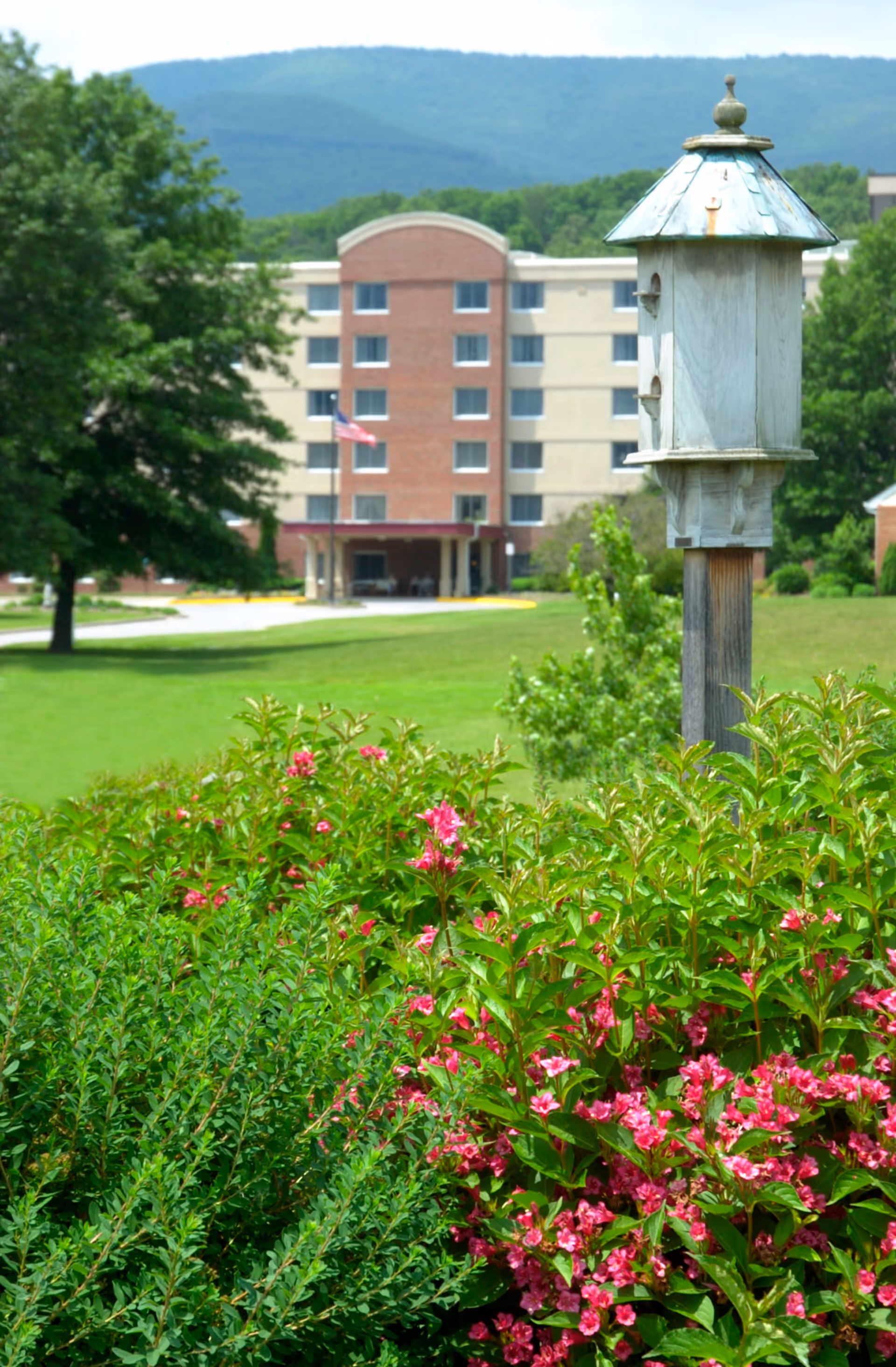 A landscaped garden area with green bushes and pink flowers in the foreground, a wooden birdhouse on a post to the right, and a multi-story brick and beige building with an American flag in the background, set against a backdrop of forested hills.