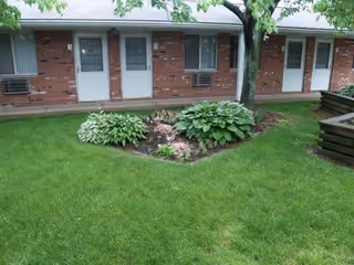 A grassy outdoor area with a small garden bed containing green leafy plants and a tree. In the background, there is a brick building with several doors and windows, each window having an air conditioning unit below it.