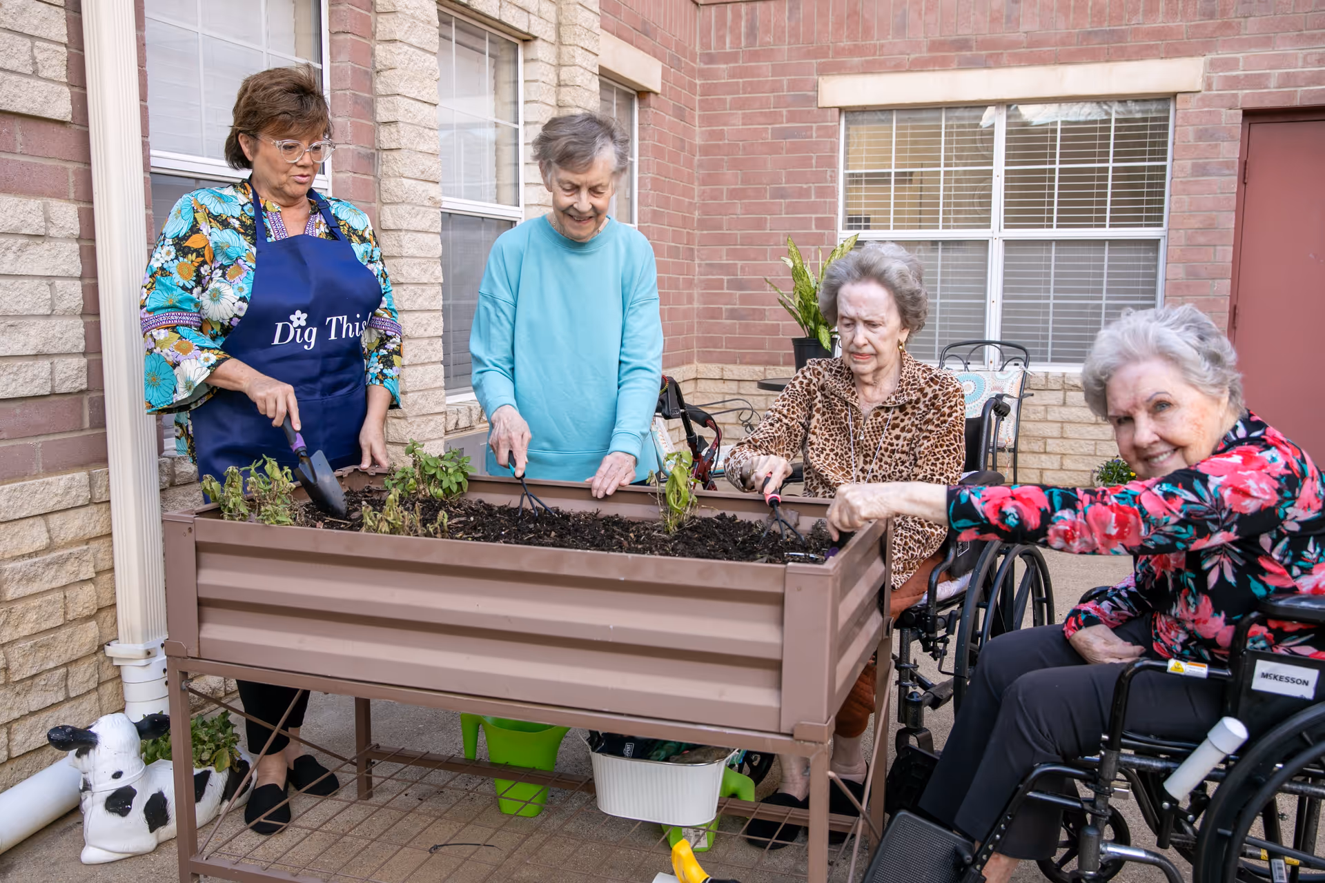 Four elderly women gardening together in a raised planter box outside a brick building. Two women are seated in wheelchairs, and one woman is wearing a blue apron that says 'Dig This'. They are using small gardening tools to tend to the plants.
