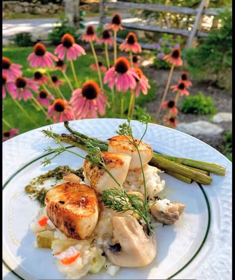 A white plate with a gourmet meal consisting of three seared scallops, grilled asparagus, mushrooms, and a creamy risotto garnished with fresh herbs. The plate is outdoors with pink coneflowers and a wooden fence in the background.