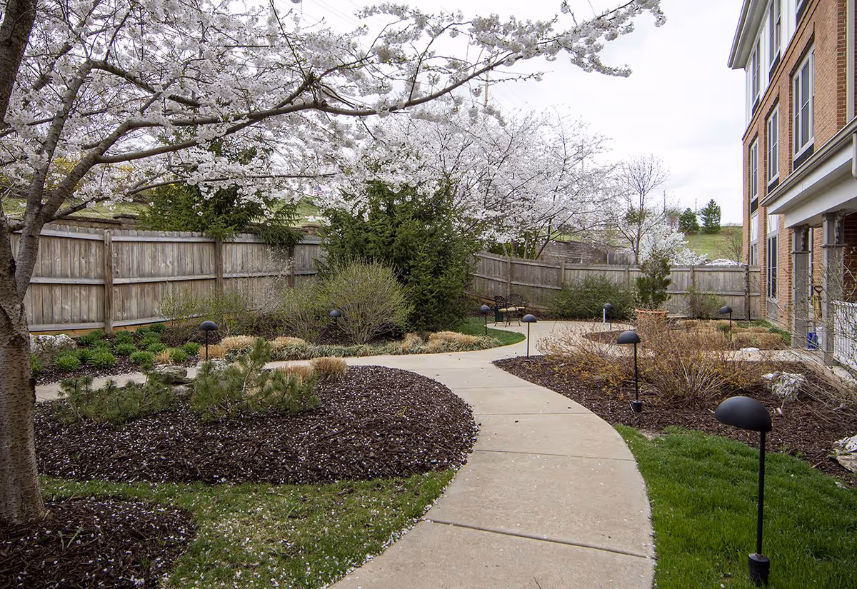 A winding concrete pathway through a landscaped garden area with blooming white cherry blossom trees, shrubs, and small black garden lights. A wooden fence borders the garden, and part of a brick building is visible on the right side.