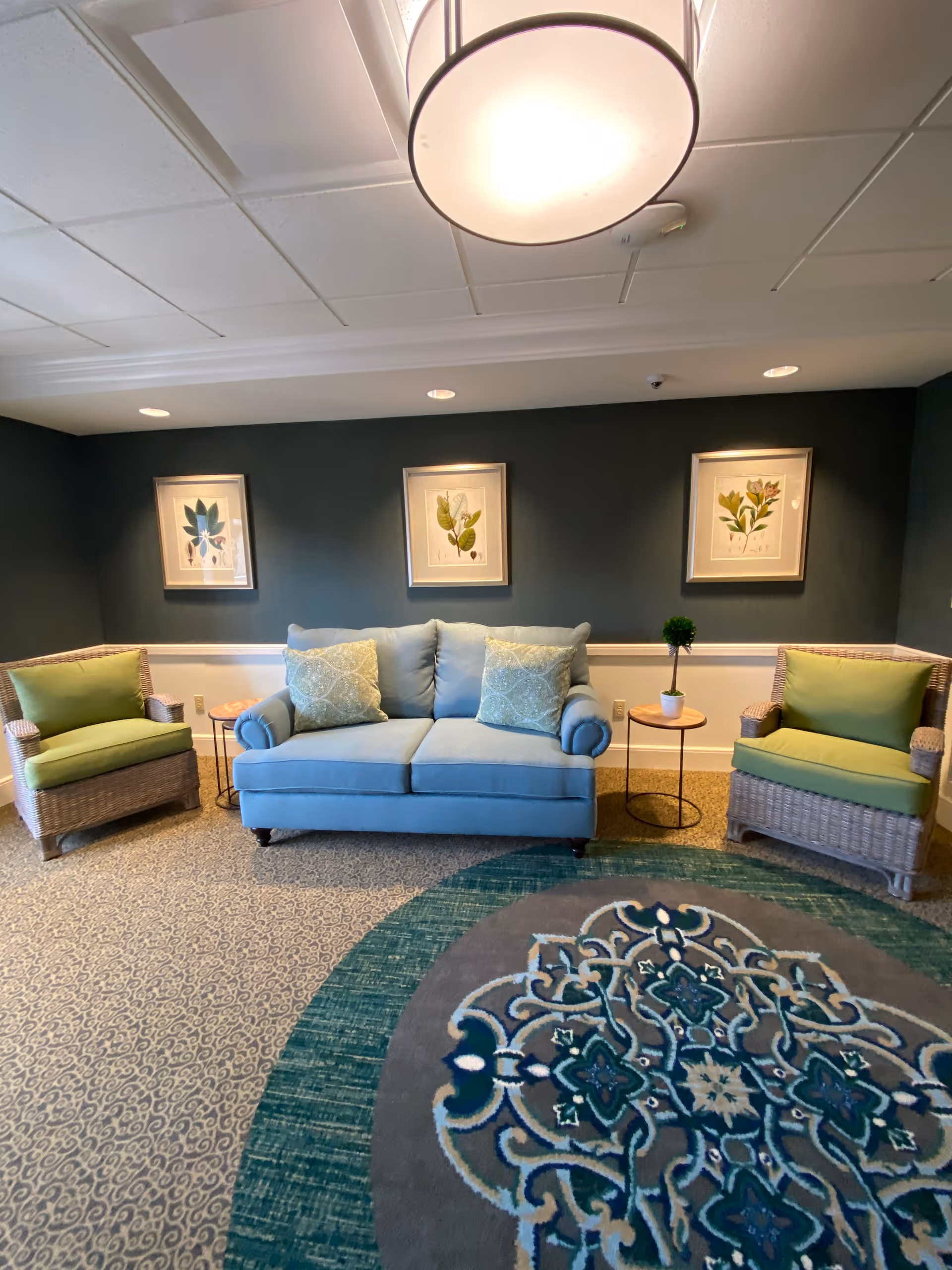 A seating area with a light blue sofa flanked by wicker chairs, botanical prints on a dark wall, and a patterned round rug.