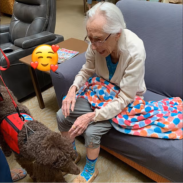 An elderly woman with white hair and glasses sits on a gray couch covered partially with a colorful polka dot blanket. She is reaching out to pet a brown service dog wearing a red vest. The setting appears to be a cozy indoor living area with a side table holding a magazine and a black recliner chair nearby.