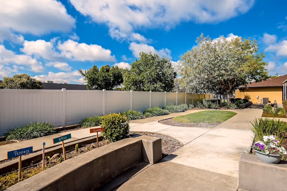 Sunny courtyard with paved walkways, raised garden beds labeled 'Peppers' and 'Apples', a grassy lawn island, and trees beside a white fence.
