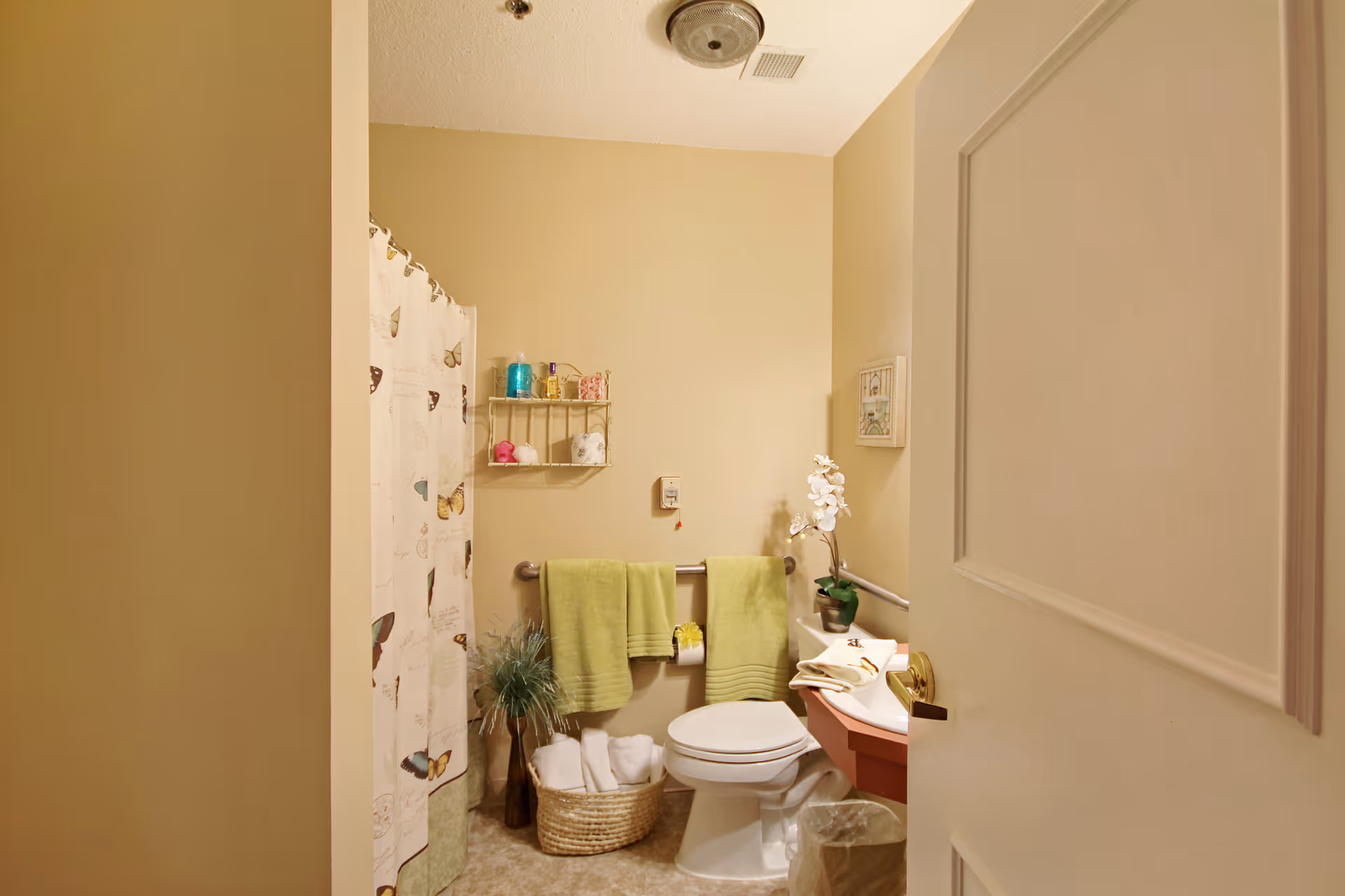 Well-lit bathroom with a toilet, shower with a butterfly-patterned curtain, green towels, and decorative shelves and plants.