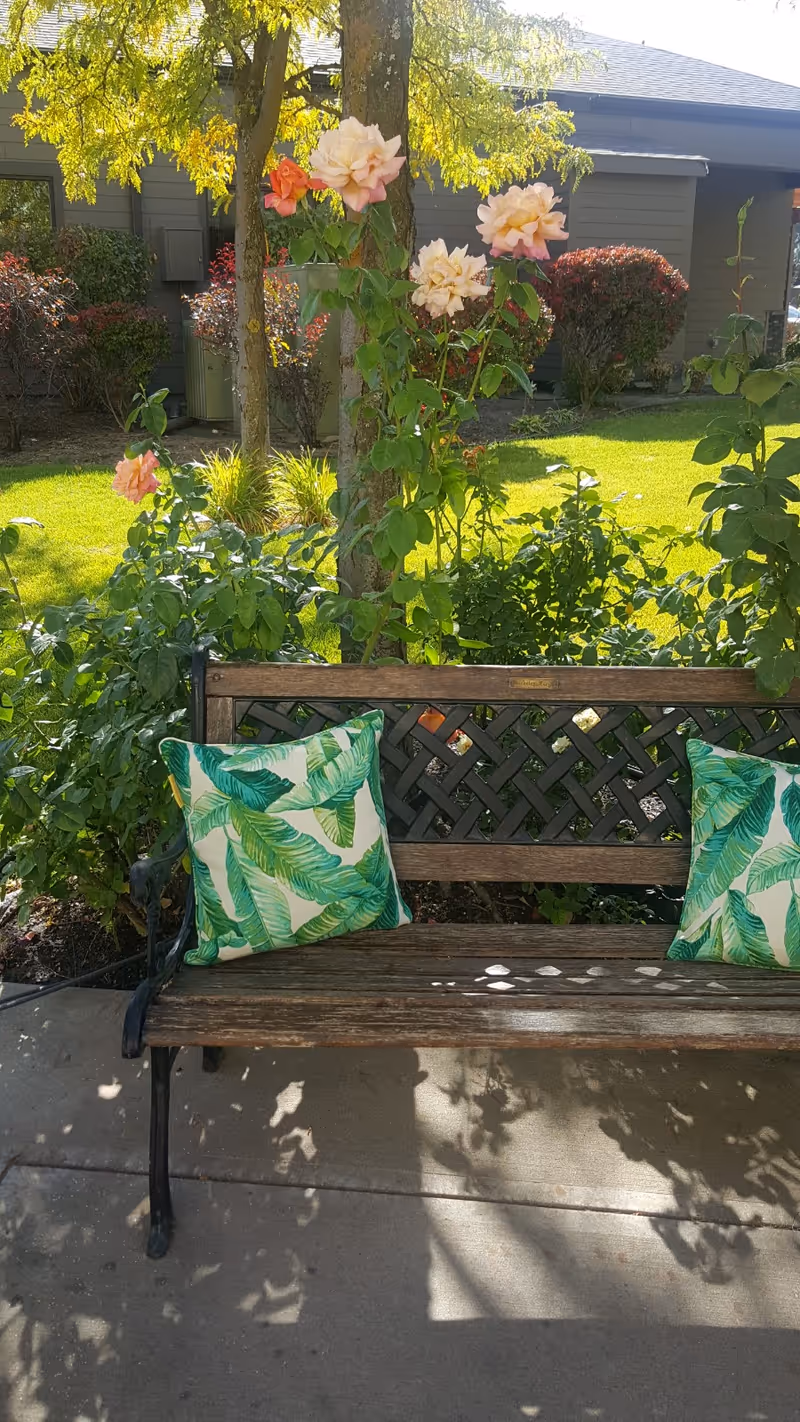 A wooden bench with black metal armrests and two green leaf-patterned cushions placed on it, situated outdoors on a concrete path. Behind the bench, there are blooming pink and peach roses, green bushes, and a tree with yellow-green leaves. In the background, there is a building with gray siding and windows.