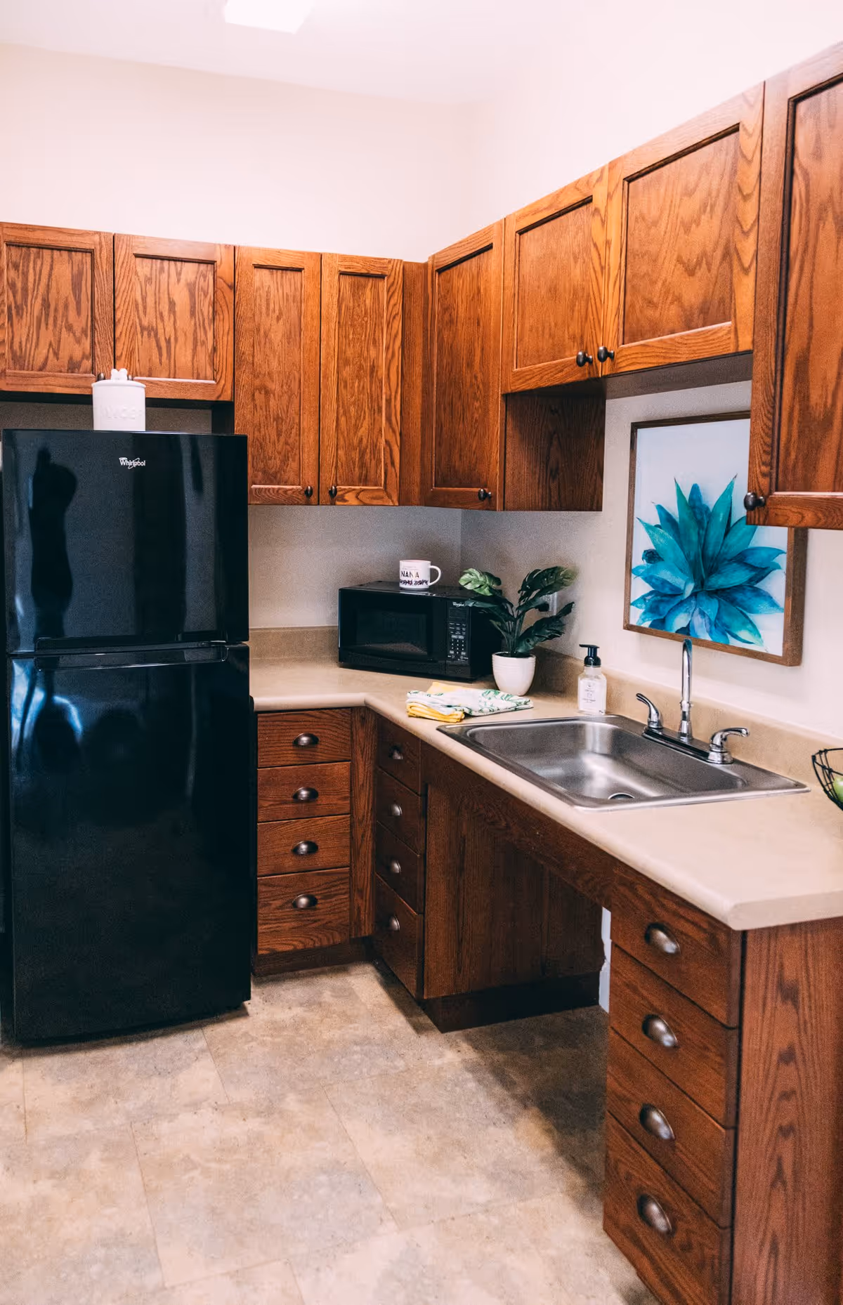 Small kitchen with wooden cabinets, a black refrigerator, microwave, sink, and a framed plant artwork on the wall.
