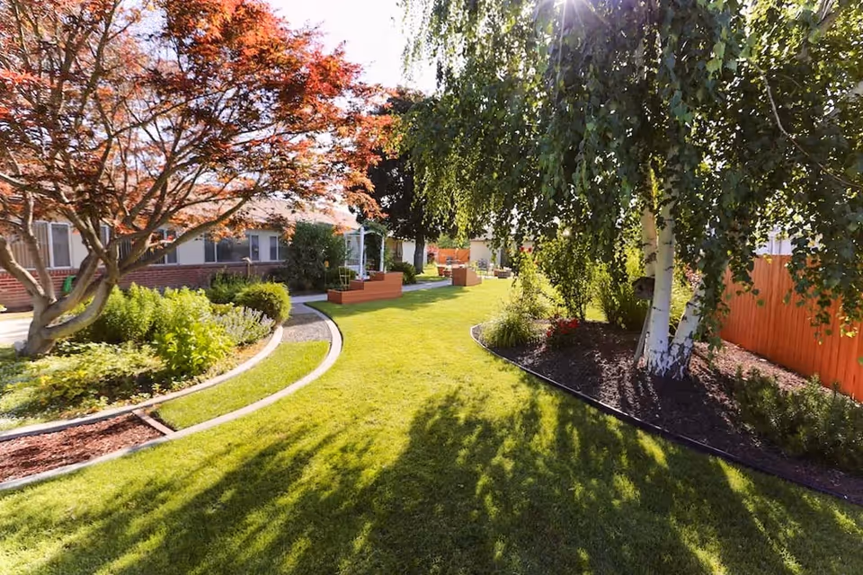 A sunny outdoor garden area at Park Manor Rehabilitation Center featuring a well-maintained green lawn, curved walking paths, various trees including a red-leaved tree and a birch tree, flower beds, and raised wooden planters. The building with windows is visible in the background along with a wooden fence.