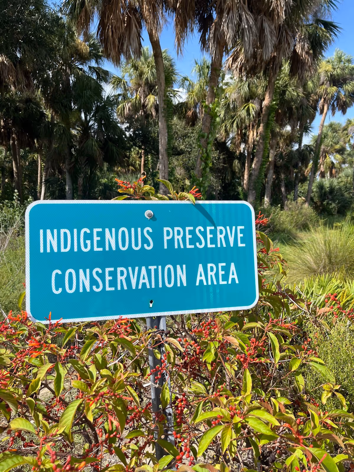 A turquoise sign reading 'INDIGENOUS PRESERVE CONSERVATION AREA' surrounded by shrubs with palm trees in the background.