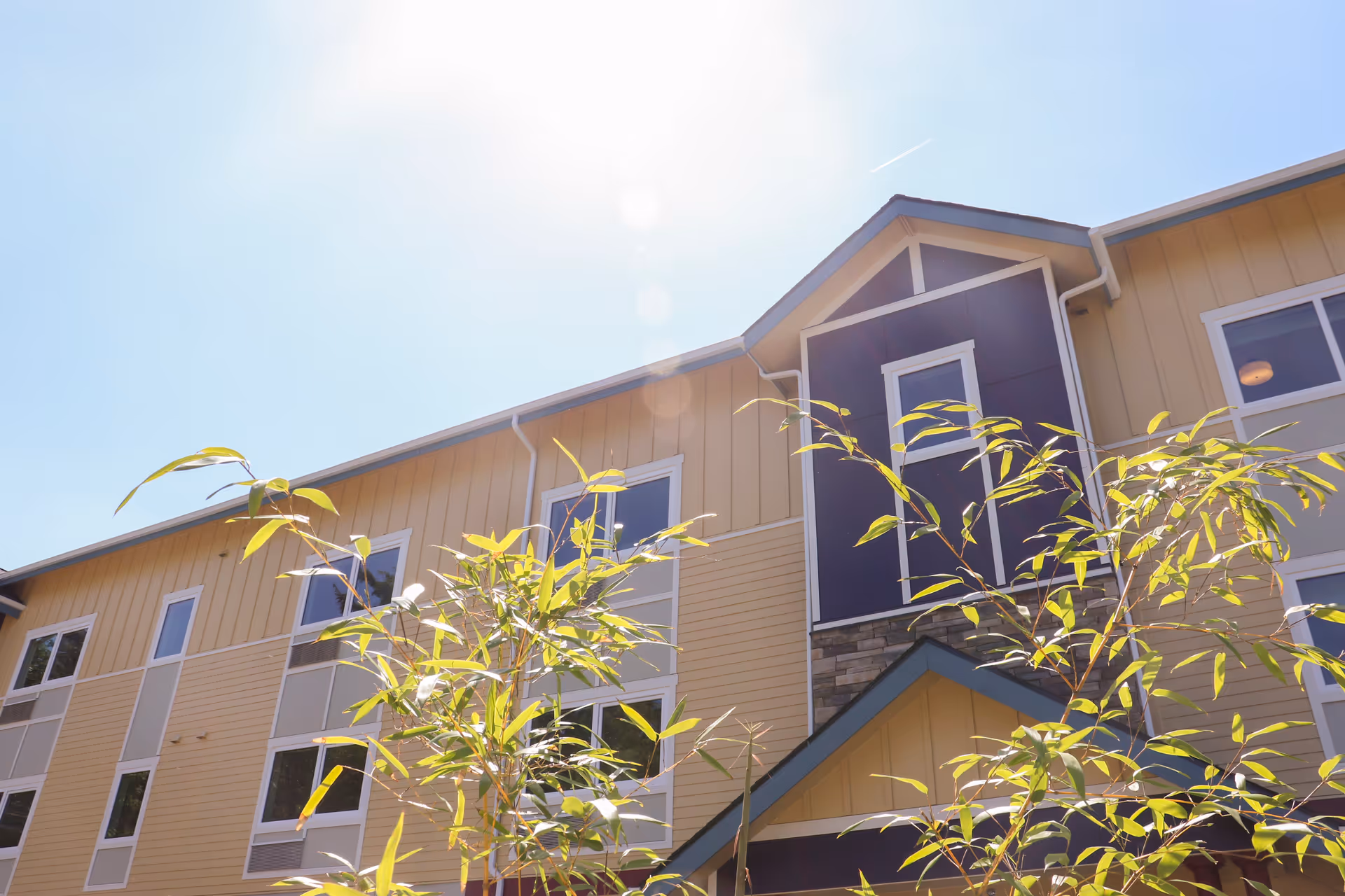 Sunlit exterior of a yellow multi-story assisted living building with windows and plants in the foreground.