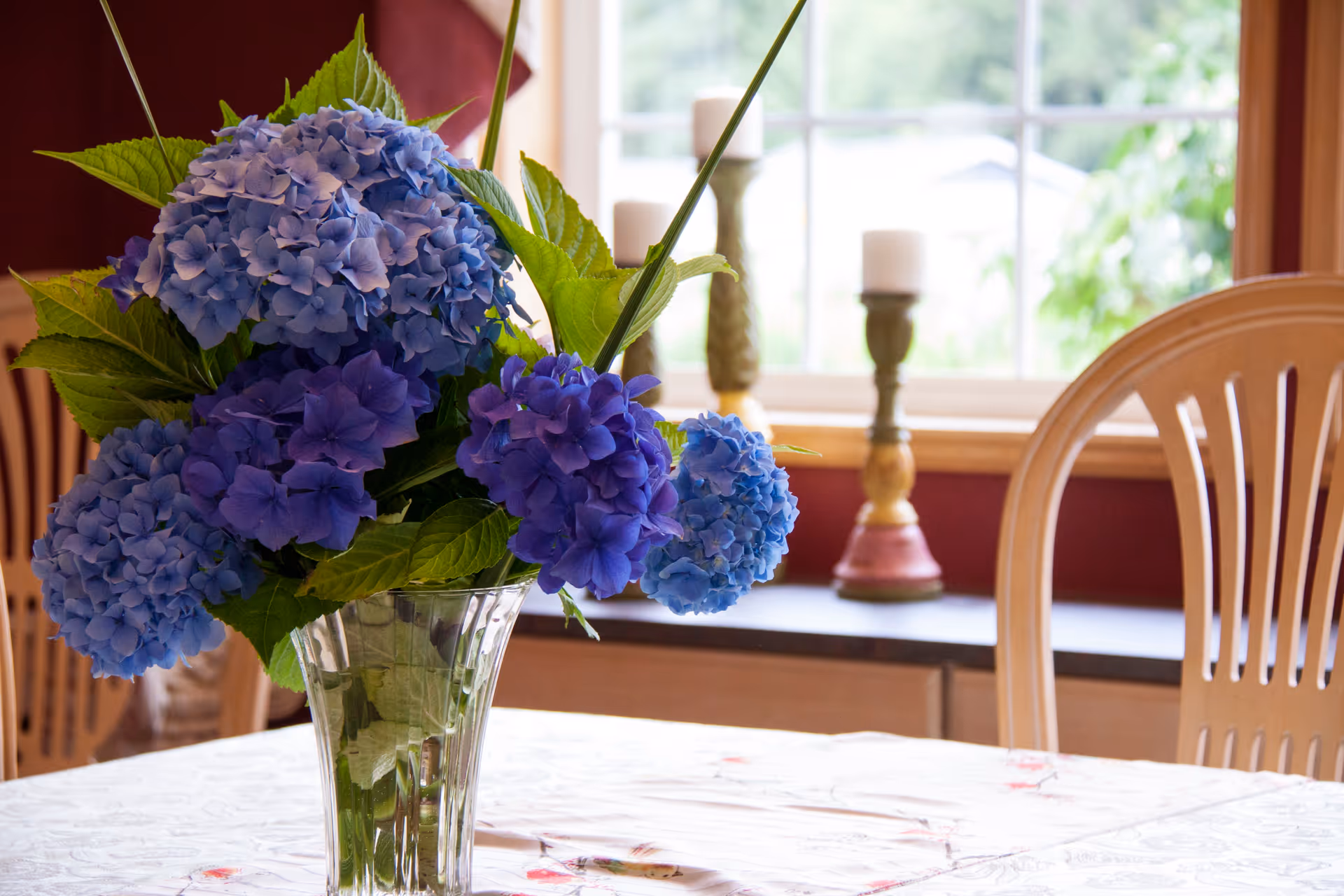 A vase of blue hydrangeas on a table in a dining room with chairs and a window in the background.