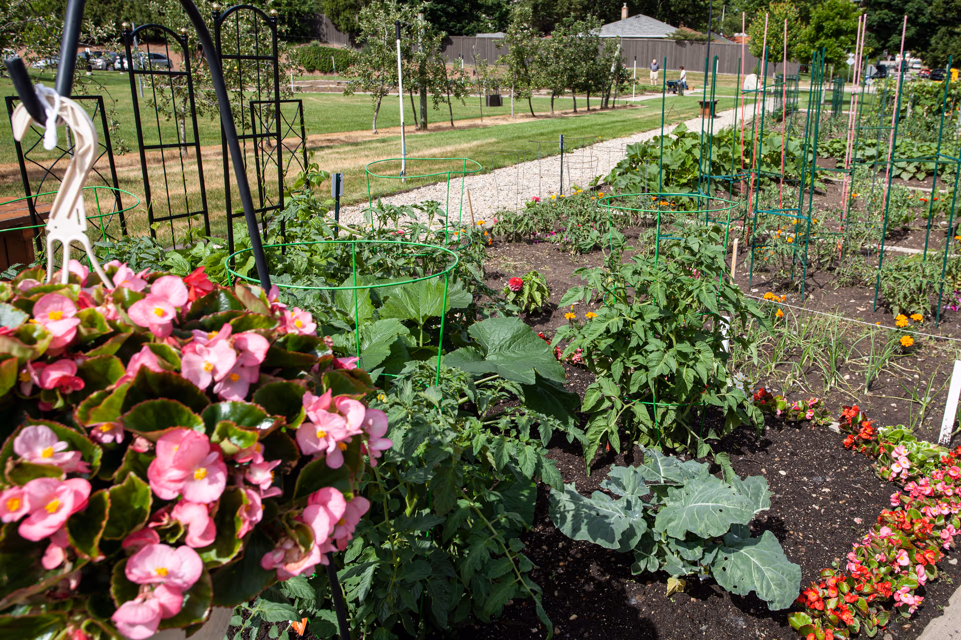A vibrant garden with various green plants and flowers growing in neatly arranged soil beds. Pink flowers hang in a basket in the foreground, with a gravel pathway and more garden beds visible in the background under a sunny sky.