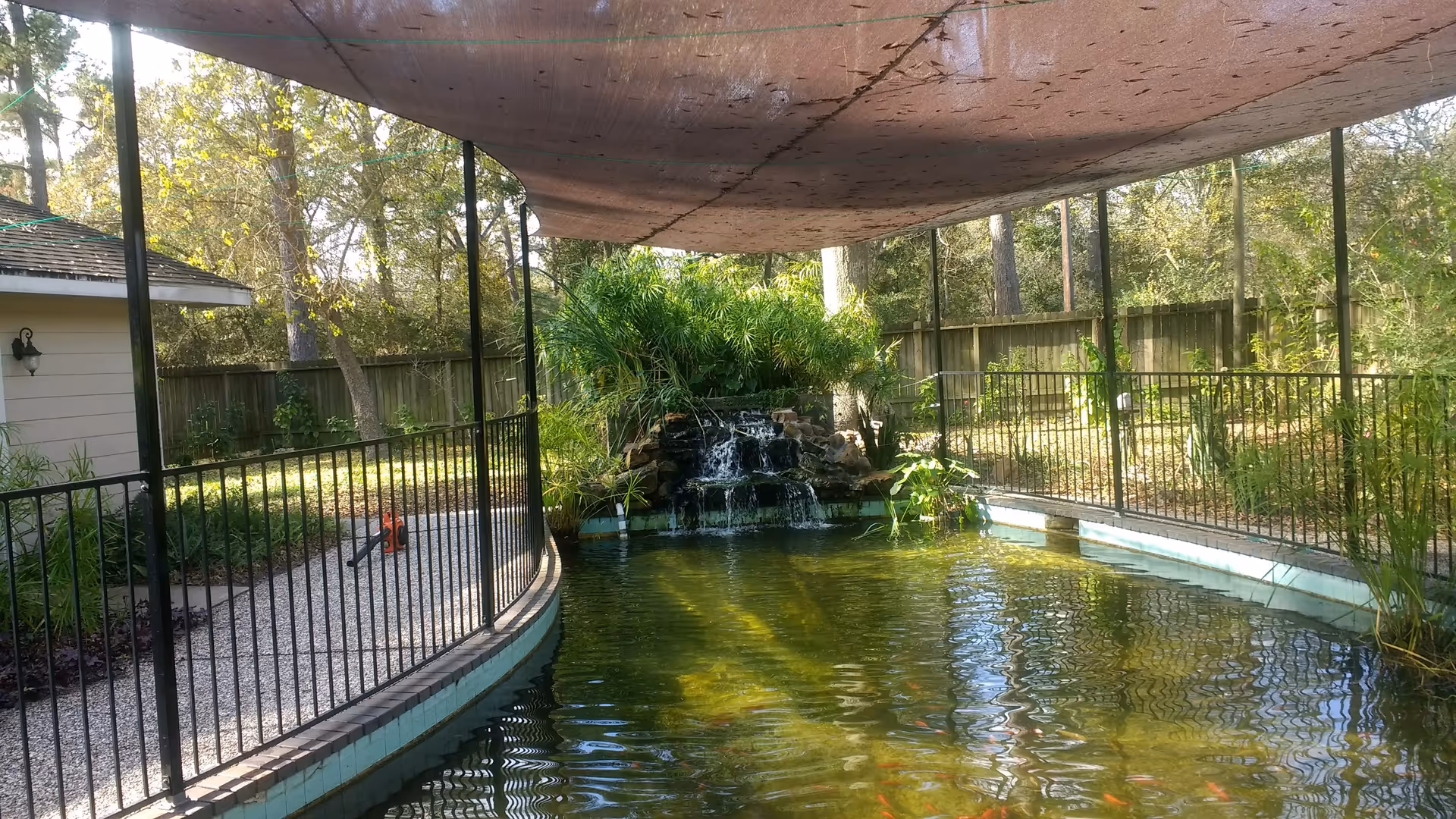 A covered outdoor pond with a small waterfall feature surrounded by a black metal fence. The pond is located next to a gravel pathway and a small building, with trees and greenery in the background.