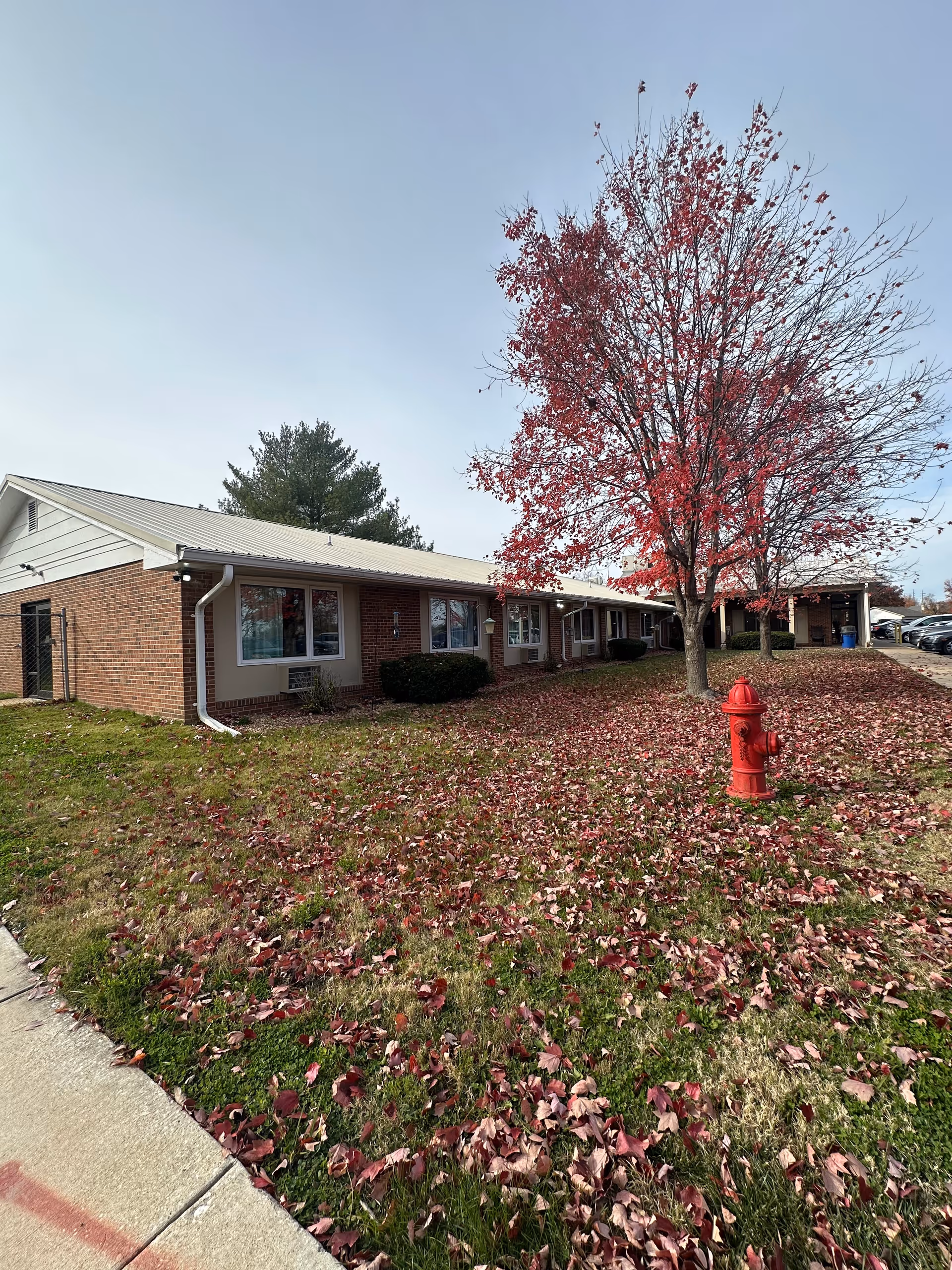 Exterior view of a single-story brick building with several windows, a red fire hydrant, and a tree with red autumn leaves on a grassy lawn covered with fallen leaves. A sidewalk runs along the left side of the image and cars are parked in the background on the right.