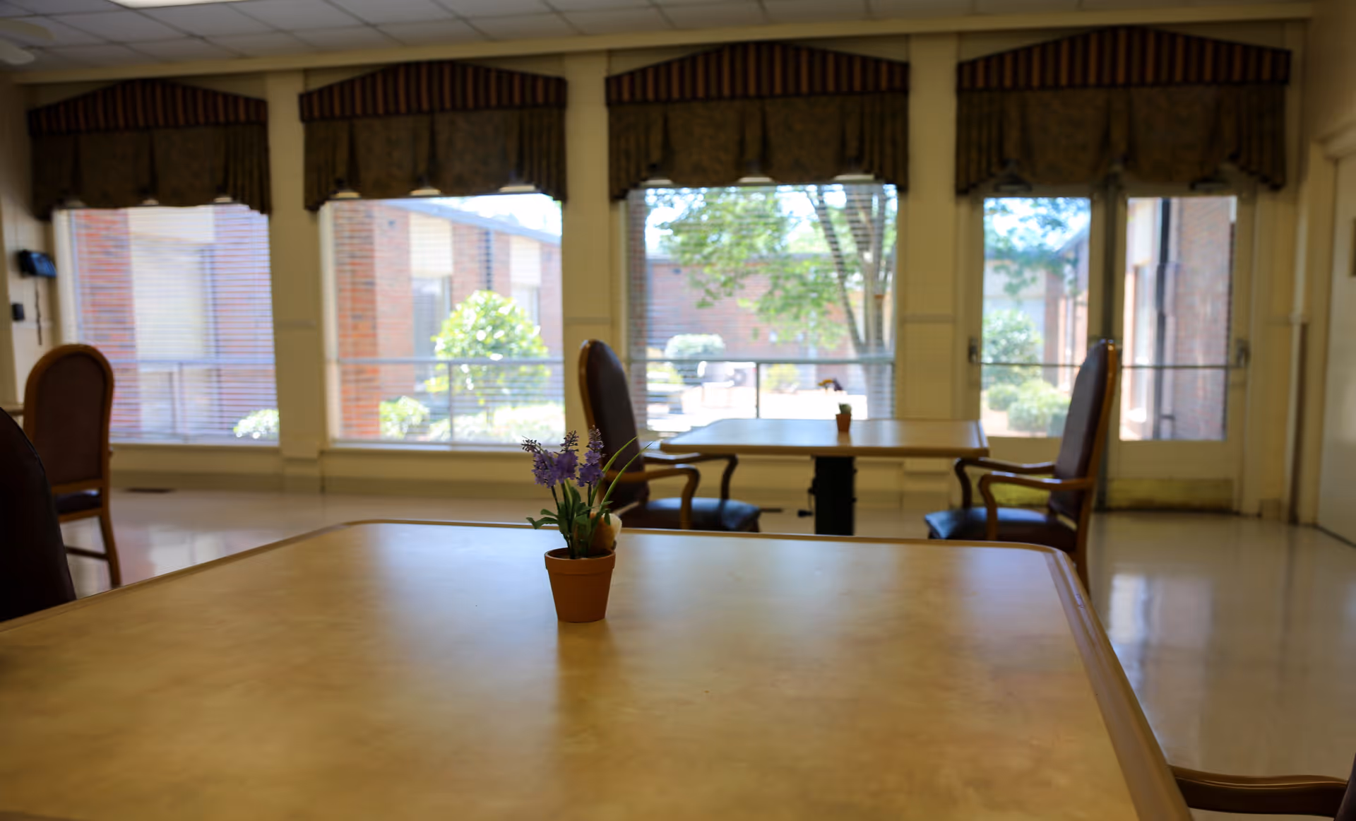 Interior view of a dining area with tables and chairs. Each table has a small potted plant with purple flowers. Large windows with valances allow natural light to enter, showing an outdoor courtyard with trees and brick buildings.