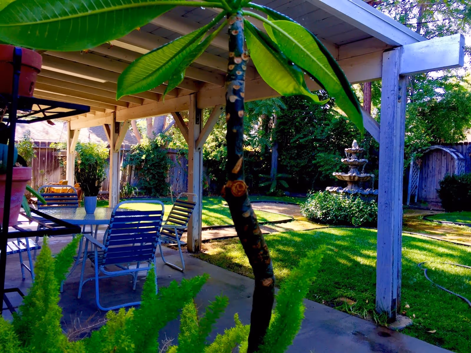 A covered patio area with a glass table and metal chairs surrounded by green plants and trees. In the background, there is a multi-tiered stone fountain and a wooden fence enclosing the garden space.