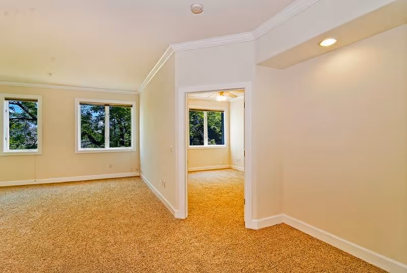 Empty carpeted living area with beige walls, windows showing trees outside, and an open doorway to another room.