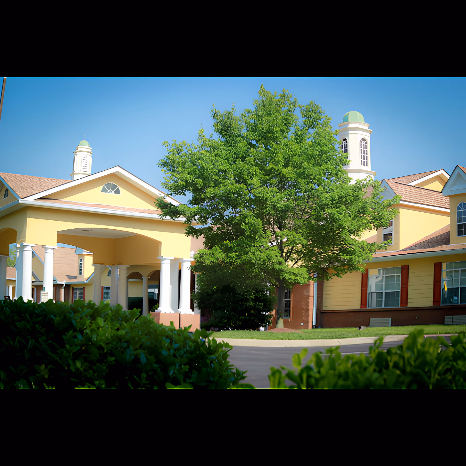 Exterior view of Belvedere Commons of Franklin showing a yellow building with white columns, a large green tree in front, and a clear blue sky.