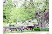 Park-like outdoor area with trees, a small wooden footbridge over a rock-lined stream, benches and green lawn.