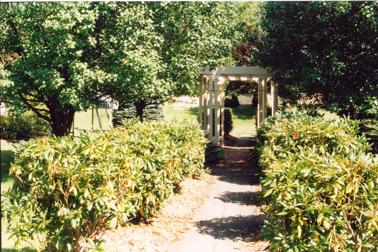 A garden pathway lined with green bushes on both sides leading to a white wooden pergola with trees and grass surrounding the area.