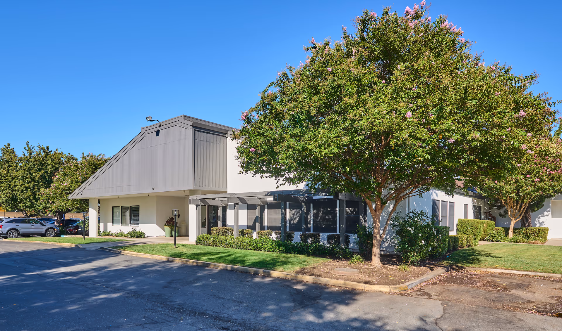 Exterior view of Arbor Rehabilitation & Nursing Center building with a large tree in front, well-maintained lawn, and parked cars under a clear blue sky.