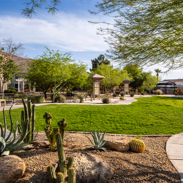 A landscaped outdoor area at The Terraces of Phoenix featuring green grass, desert plants including various cacti, trees, and a paved walking path under a partly cloudy sky.