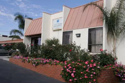 Exterior view of Castle Manor Nursing and Rehabilitation Center with flowering shrubs and palm trees.