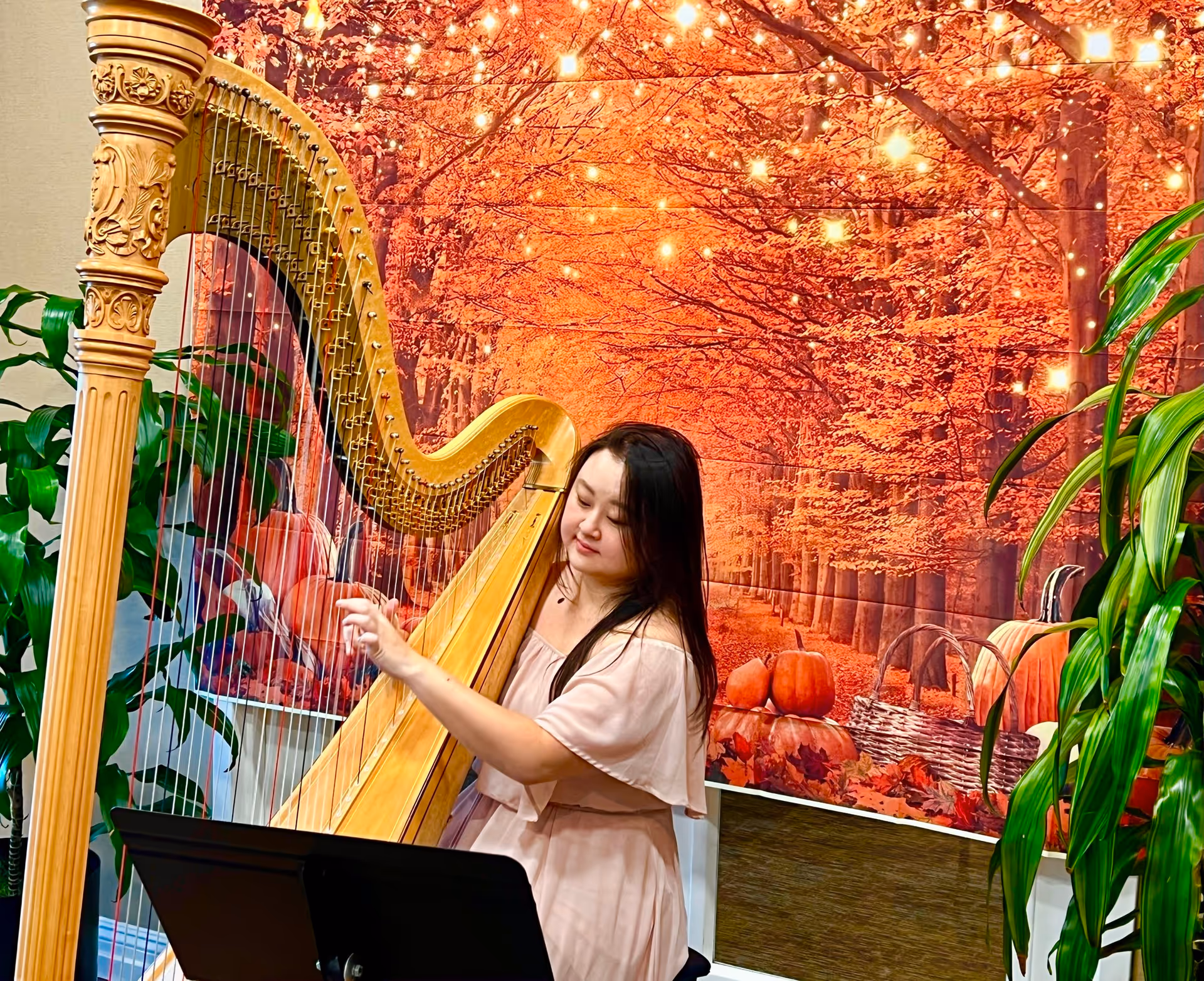 A woman playing a large wooden harp indoors, with a vibrant autumn-themed backdrop featuring orange leaves, pumpkins, and baskets. There are green plants on either side of the harp.