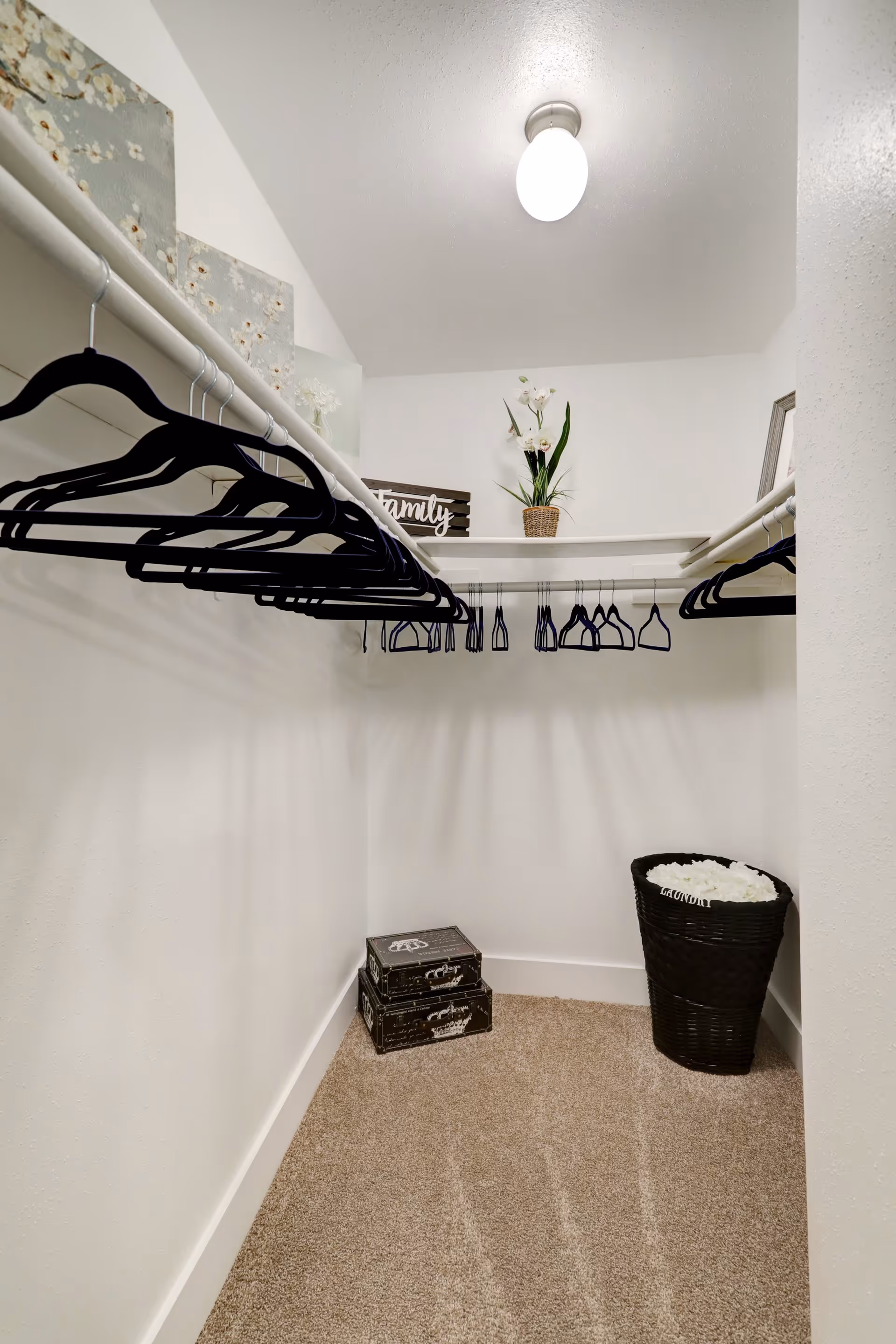 A walk-in closet with beige carpet, white walls, and a ceiling light. The closet has two white hanging rods with black hangers. On the shelf above the rods, there is a decorative sign that says 'Family' and a potted plant with white flowers. On the floor, there are two stacked black decorative boxes and a black laundry basket filled with white fabric or towels.