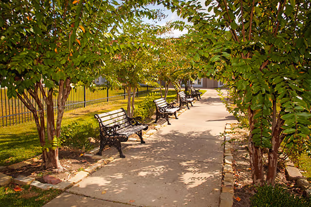 A sunny outdoor pathway lined with several black metal benches with wooden slats on one side and green leafy trees on both sides. A metal fence runs along the left side of the path, and a building is visible in the background.