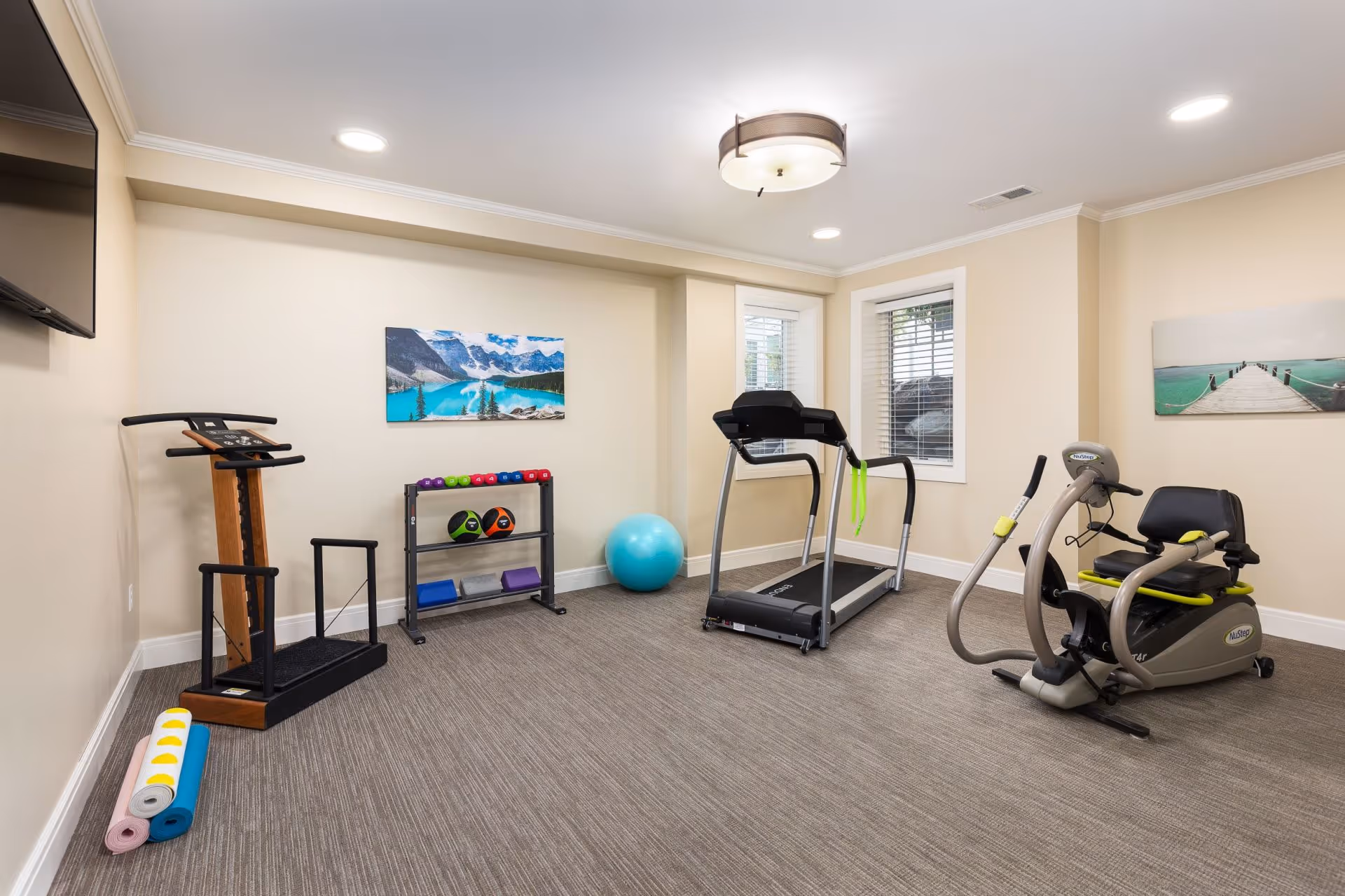 Small fitness room with a treadmill, recumbent exercise bike, step machine, exercise ball, weights and mats, and framed wall art.