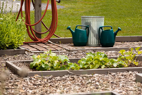 A garden area with raised planting beds containing green leafy plants. Two green watering cans and a metal trash can are placed on a wooden platform near a red garden hose hanging on a wooden post. A wire fence and grassy area are visible in the background.