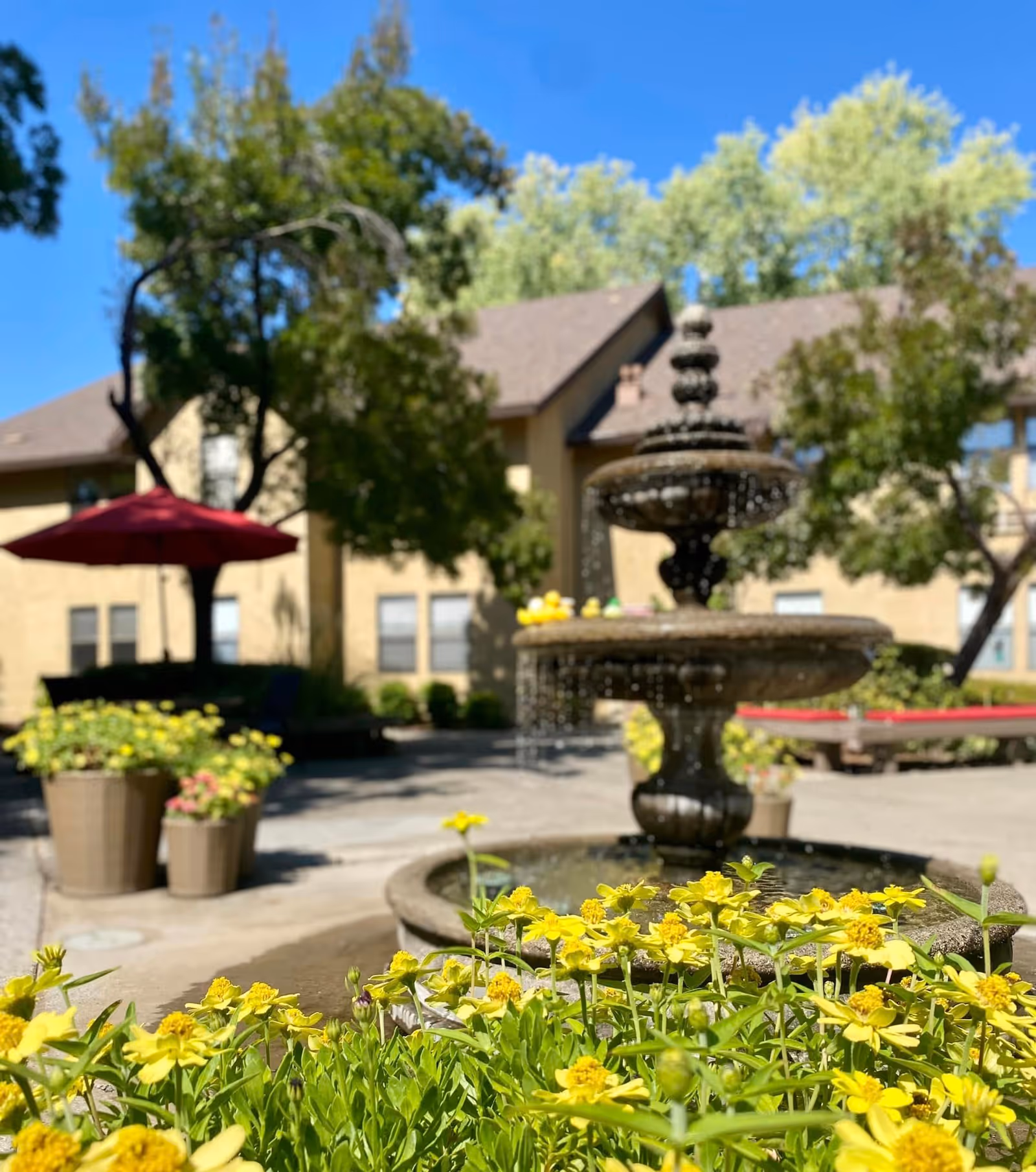 Outdoor courtyard area at Hilltop Commons Senior Living featuring a multi-tiered water fountain surrounded by yellow flowers in the foreground, potted plants, trees, and a building with windows in the background under a clear blue sky.