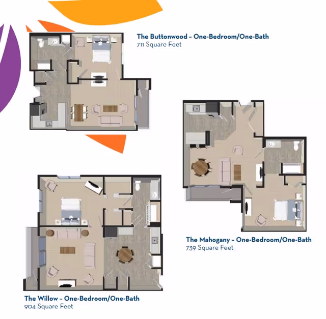 Floor plans of three one-bedroom, one-bath apartments named The Buttonwood (711 sq ft), The Mahogany (739 sq ft), and The Willow (904 sq ft) showing layouts with bedroom, bathroom, kitchen, dining, and living areas.