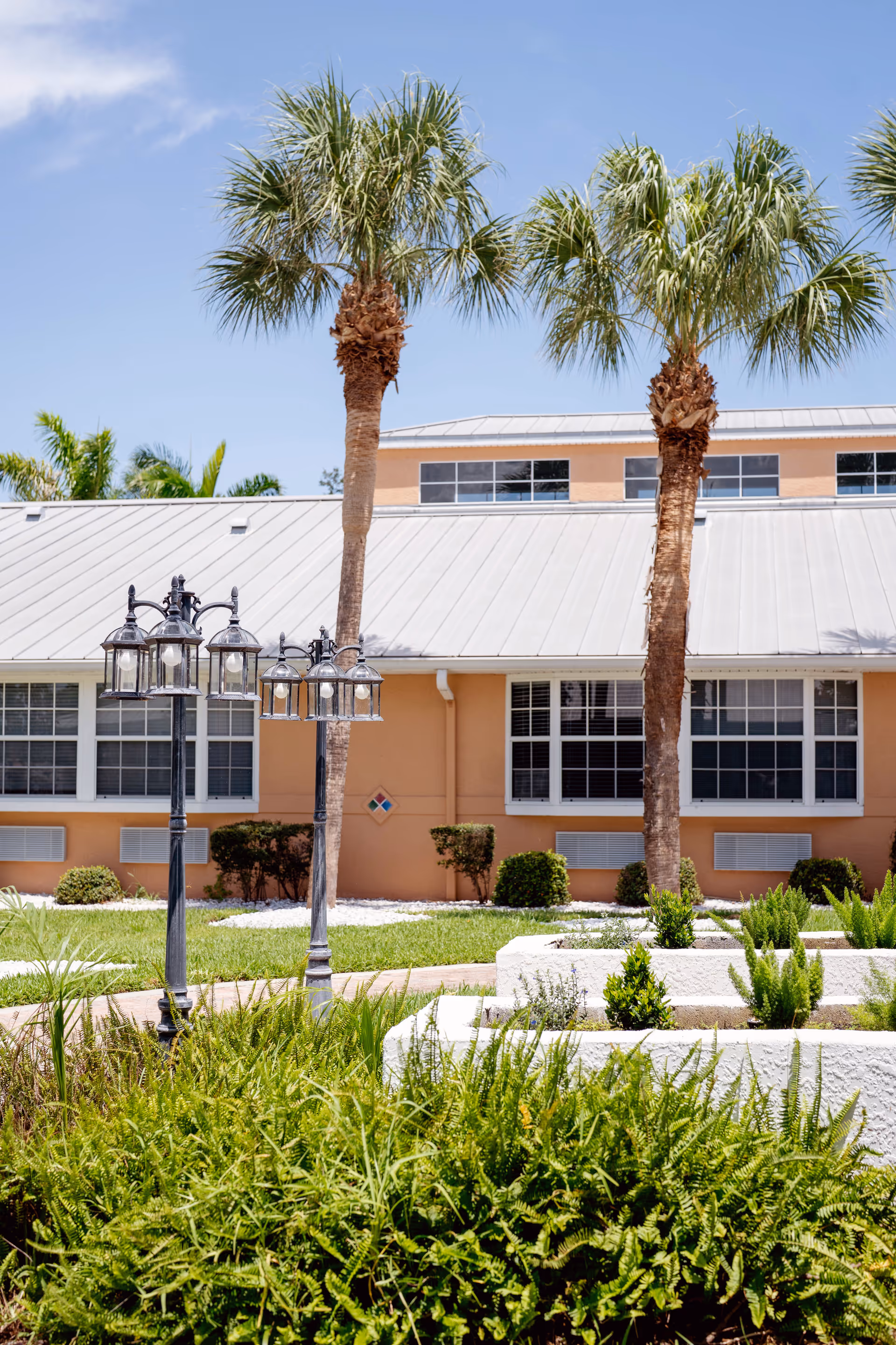 Outdoor garden area with green plants and shrubs, two tall palm trees, vintage-style black street lamps, and a peach-colored building with large windows and a metal roof in the background under a clear blue sky.
