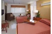 A well-lit room with two single beds covered in matching reddish-brown bedspreads. Between the beds is a wooden nightstand with a lamp and a small plant. There is a wooden chair in the foreground and an armchair near a window with closed blinds. The walls are painted in neutral tones, and a white curtain hangs partially between the beds.
