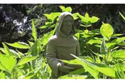 A statue of a robed figure standing among tall green plants and foliage in an outdoor garden setting with trees in the background.
