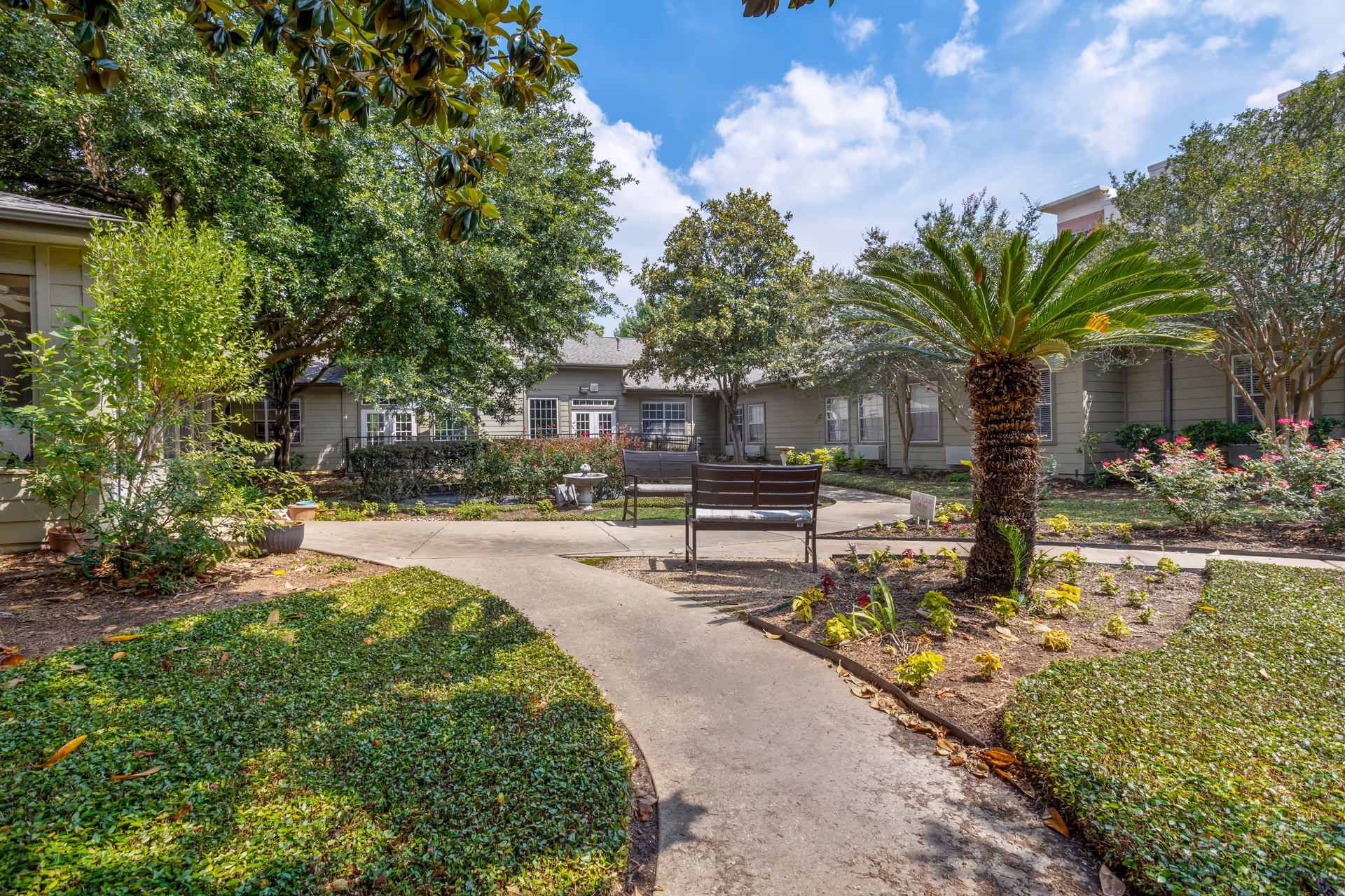 Outdoor courtyard area at Braeswood Estates Senior Living featuring a paved walkway, benches, various trees including a palm tree, and landscaped flower beds under a partly cloudy sky.