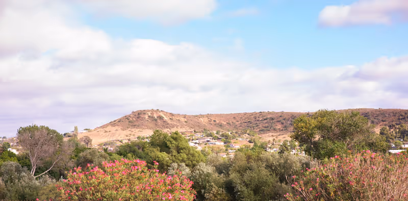 A scenic view of a hilly landscape with scattered houses, green trees, and flowering bushes under a partly cloudy blue sky.