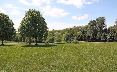 A large, open grassy field with several trees scattered throughout under a partly cloudy blue sky.