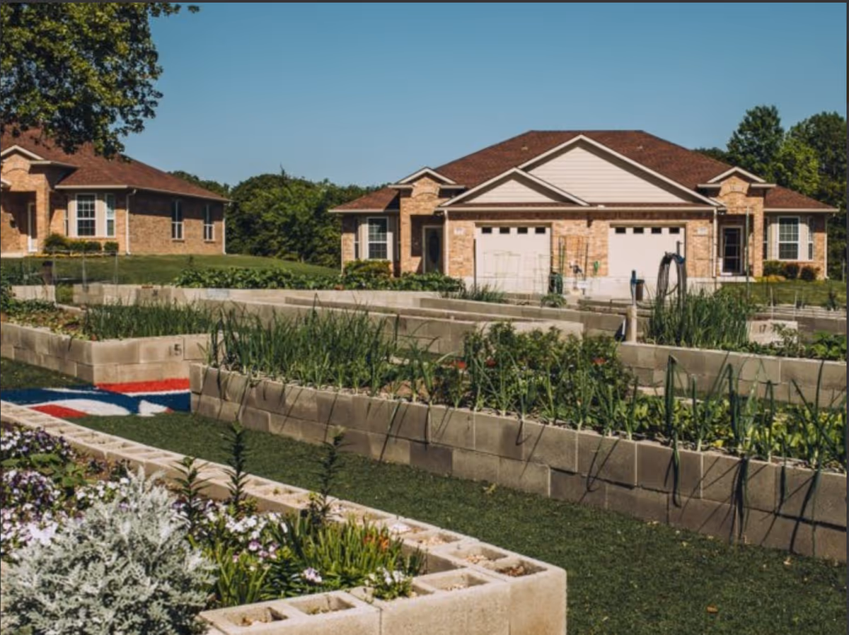 Raised garden beds with various plants and flowers in front of brick residential buildings under a clear blue sky.