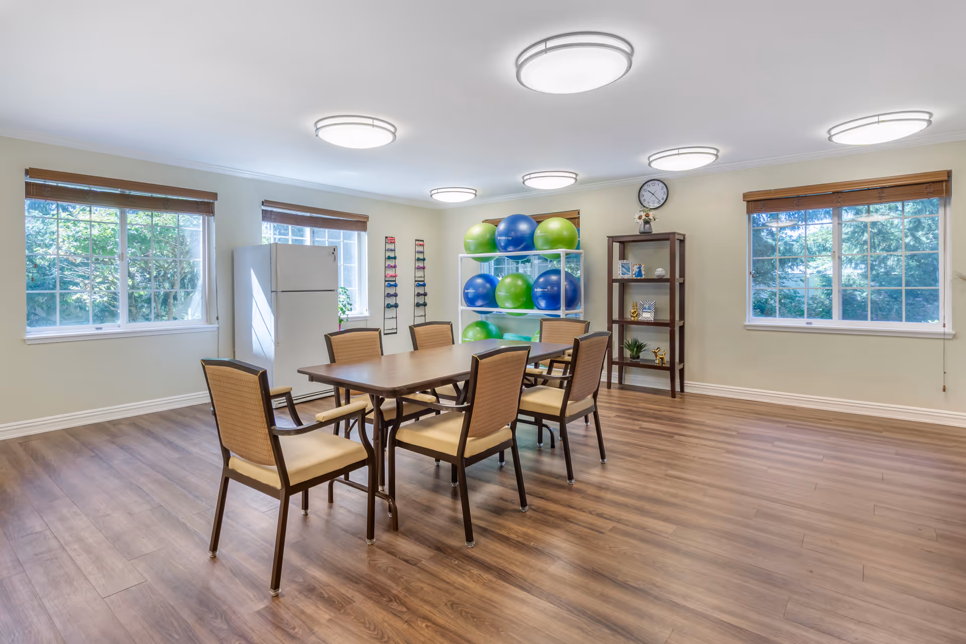 Bright multipurpose activity room with a table and chairs, shelving of exercise balls, a refrigerator, and large windows.