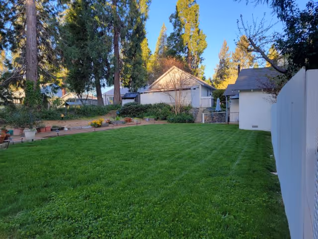 A well-maintained green lawn with a row of potted plants along a raised garden bed. In the background, there are several tall trees and a few small buildings with sloped roofs. The sky is clear and blue, and a white fence runs along the right side of the image.