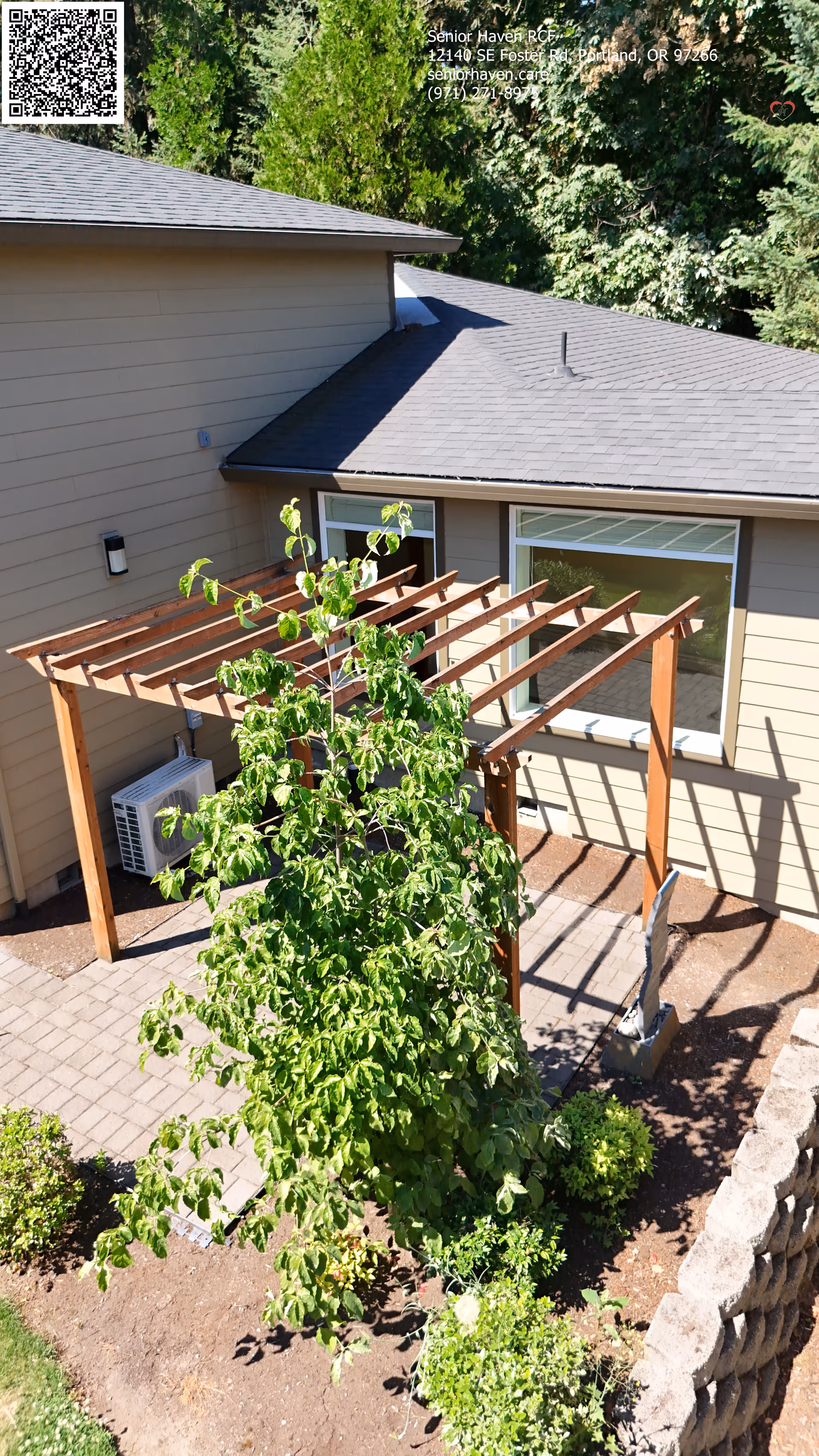 Outdoor courtyard with a wooden pergola, a leafy tree, paver patio and the exterior wall and windows of a beige building.