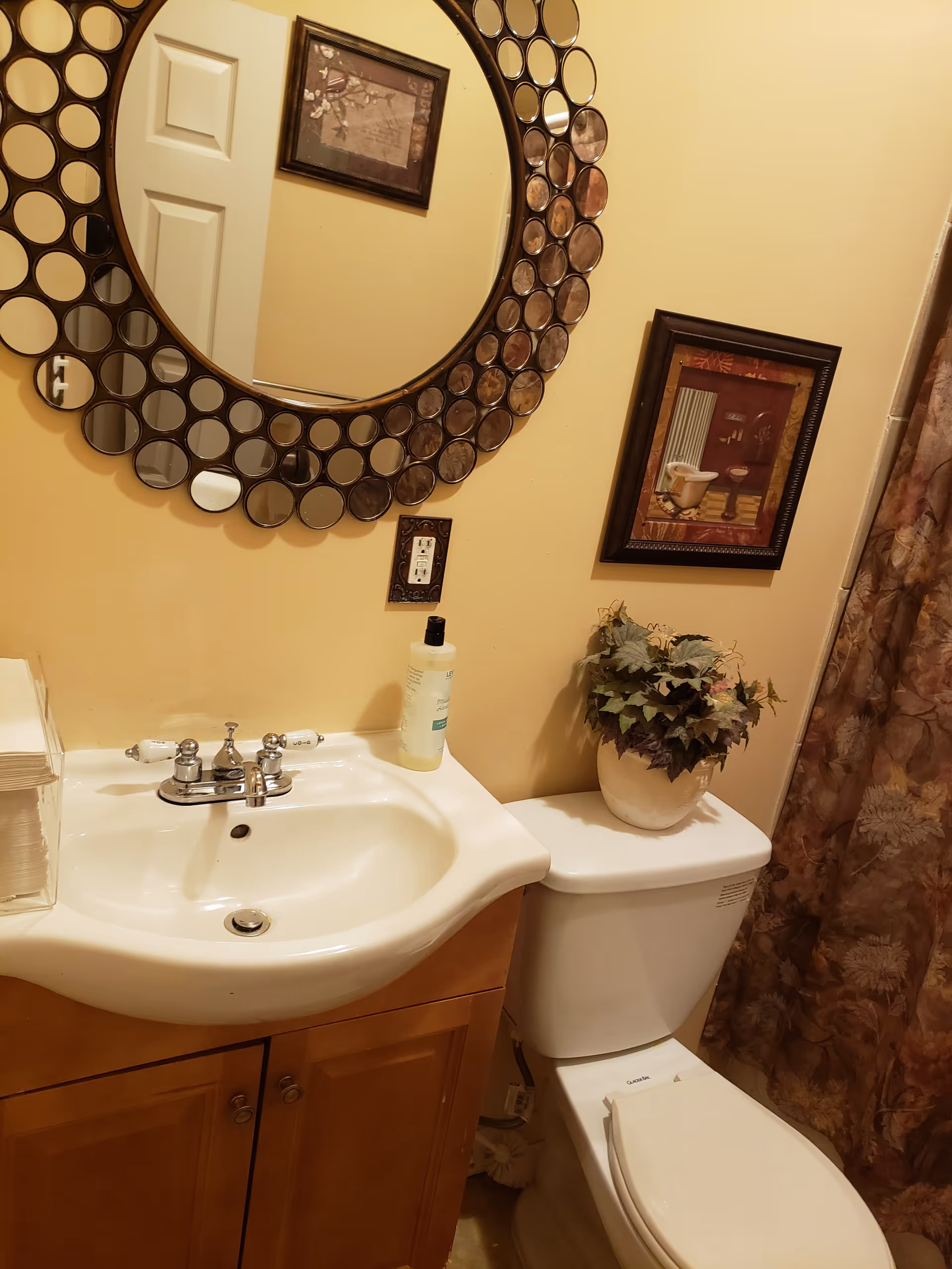 Small bathroom with a sink vanity, decorative round mirror, toilet topped with a potted plant and framed wall art.