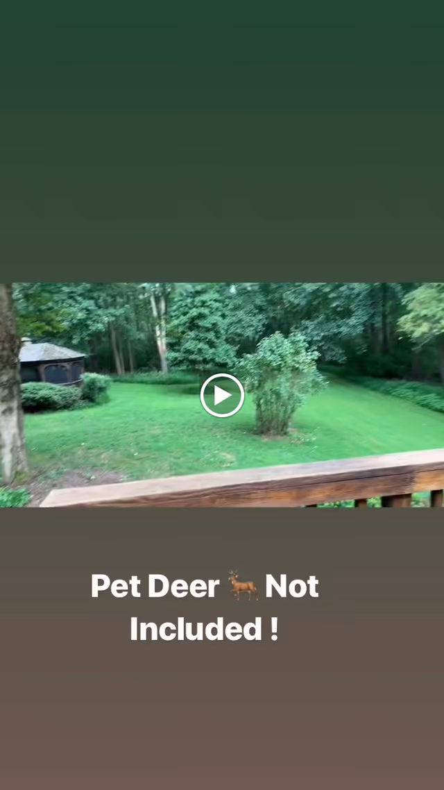 A lush green outdoor area with a wooden railing in the foreground, a small bush in the middle, and dense trees in the background. There is a gazebo visible on the left side.