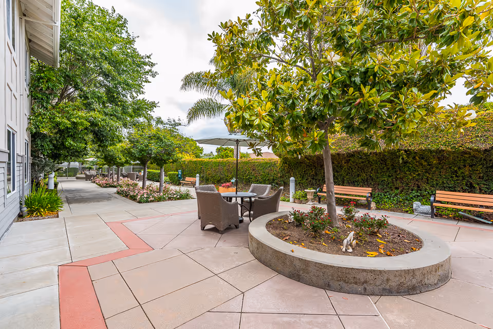 Outdoor patio area at Pacifica Senior Living Union City featuring a circular concrete planter with a tree and flowers, surrounded by paved walkways. There are wicker chairs and a table with an umbrella, as well as wooden benches along the hedge-lined perimeter.