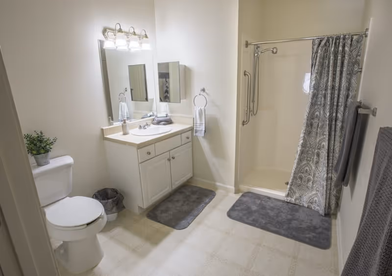 A clean bathroom featuring a white toilet with a small potted plant on top, a white vanity with a sink, a large mirror, and a wall-mounted medicine cabinet. The shower area has a patterned curtain and grab bars for safety. Gray bath mats and towels are placed on the floor and towel racks.